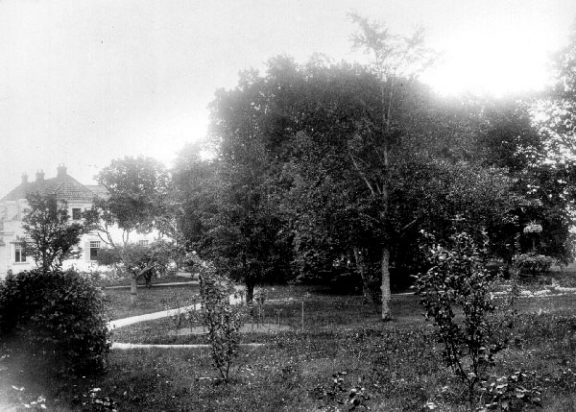 Bilde av parklandskapet og hagen på Grønnli antagelig ca 1920. Foto: Ukjent
