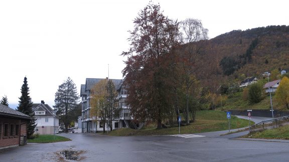 Bildet av Sjøholt hotell sett frå sida med det bakenforliggande bebygde landskapet. Foto: Jorun Elisabet Aresvik Hals Riksantikvaren