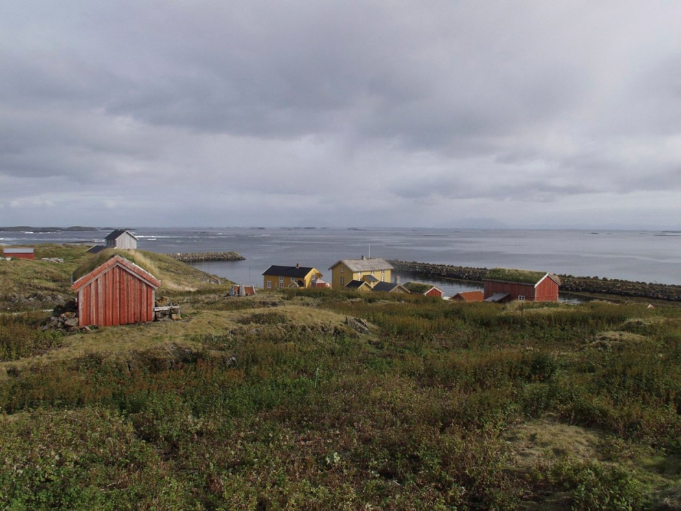 Bilde av Skjærvær med lyngkledd hei i forgrunnen, tungskyet himmel og havet i bakgrunnen. Foto: Jon Brænne / Riksantikvaren