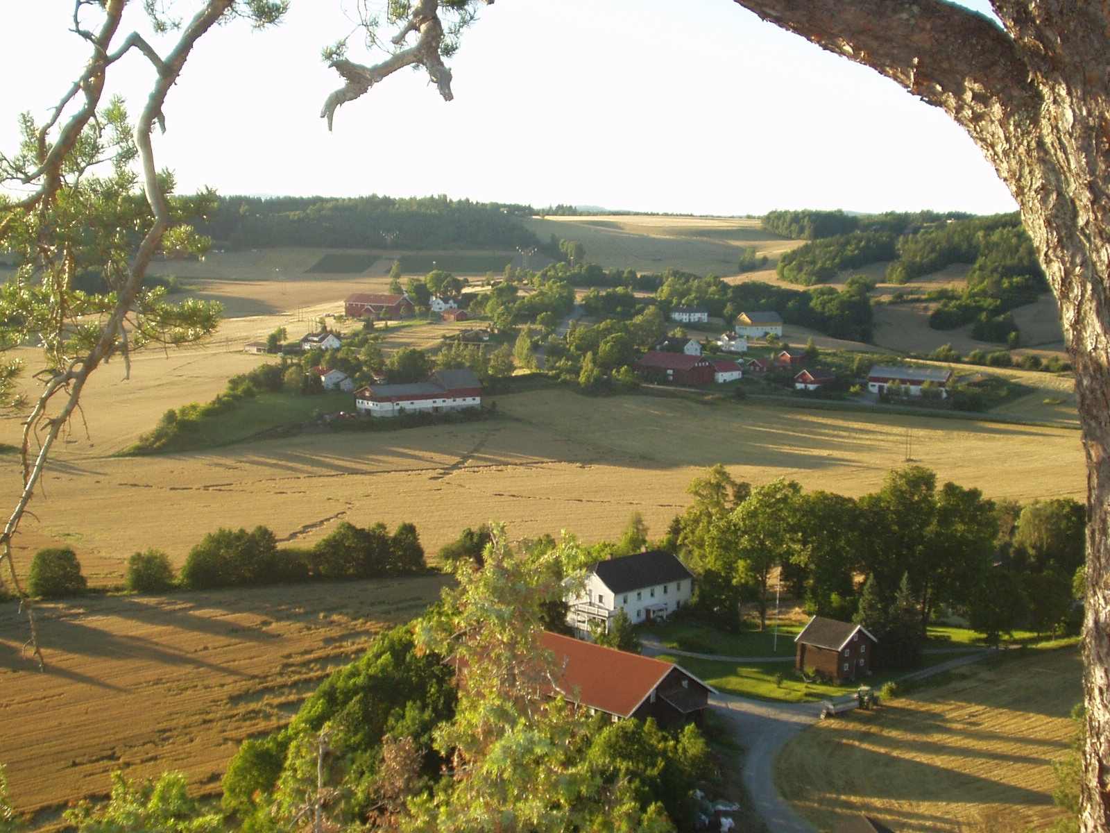 Steinsletta i Ringerike og Hole kommuner er et av de to utvalgte områdene i Buskerud fylke. Foto: Jørn Jensen Buskerud fylkekommune