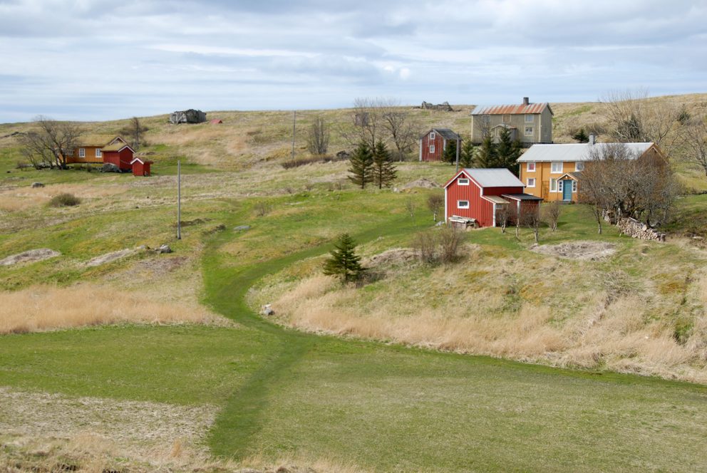 Bilde av bebyggelse på Vegaøyan, med slåttemarker i forgrunnen og heier og blå himmel.