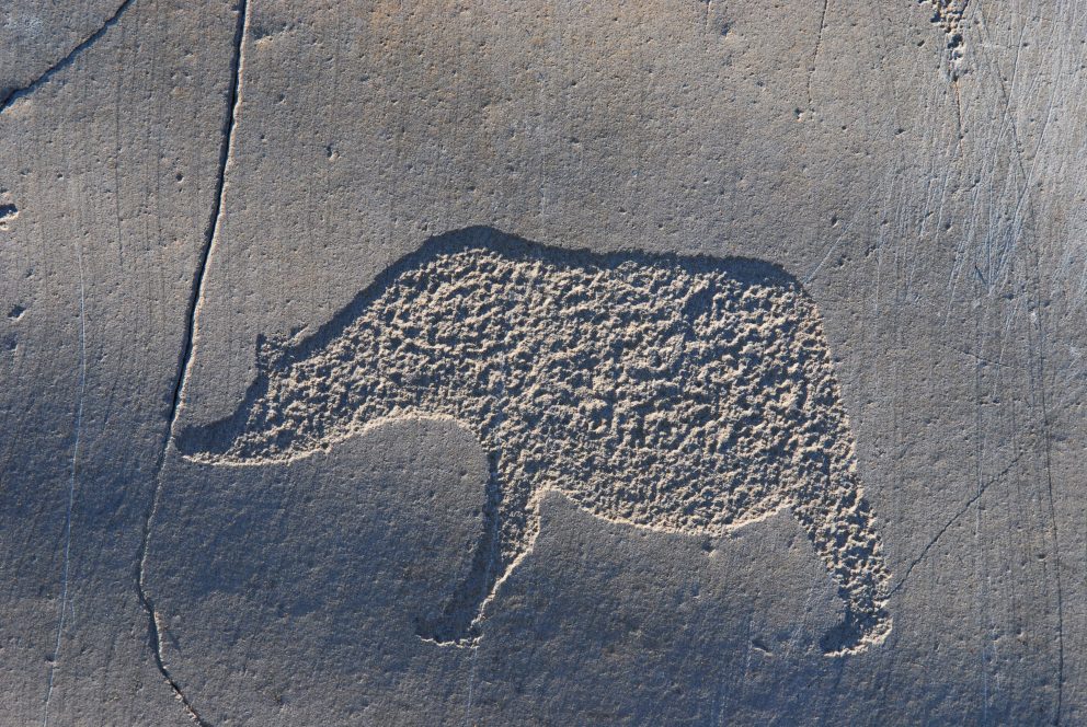 Bilde av en helleristning i Hjemmeluft, Bergbukten. Foto: Bjørn Helberg, Riksantikvaren