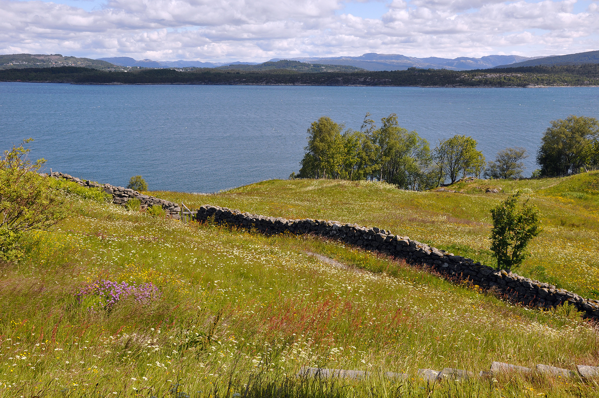 Bilde av landskapet rundt. Foto: Ann Steindal, Hordaland fylkeskommune