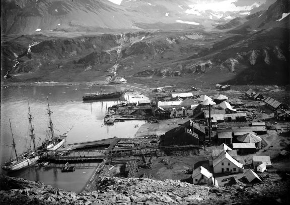 Oversiktsbilde av Grytviken Syd Georgia. Foto: Hvalfangstmuseets fotoarkiv