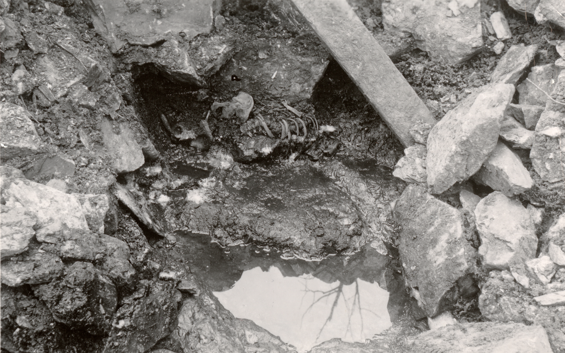 Bilde fra da Fischer utførte utgravinger i 1938. Overraskelsen var stor da de oppdaget restene av et skjelett i brønnen. Foto: Gerard Fischer.
