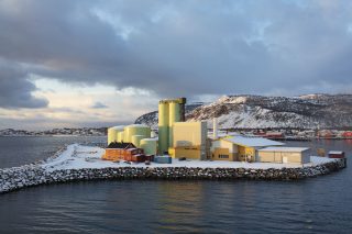 Neptun sildoljefabrikk 311