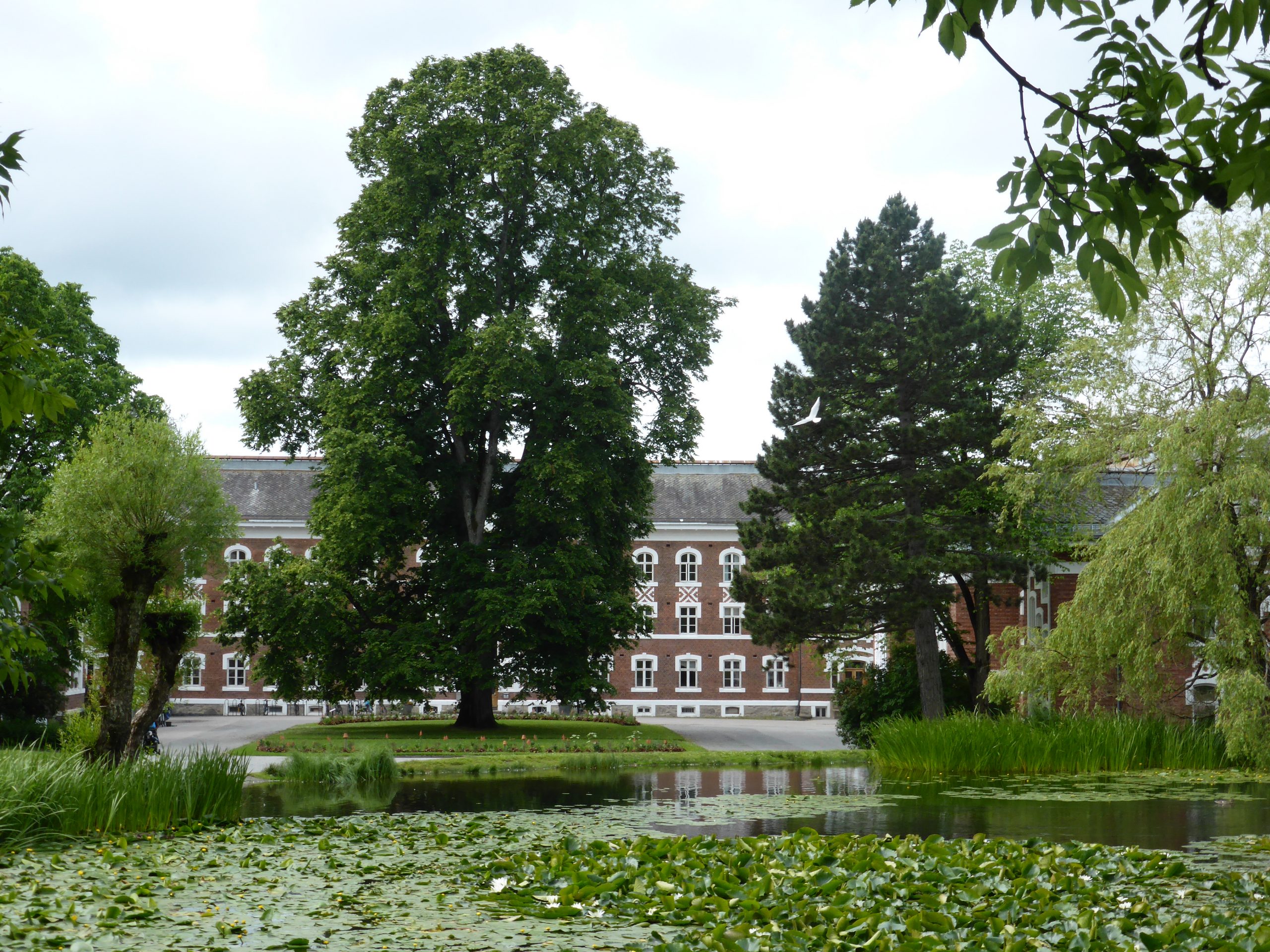 Norges miljø- og biovitenskapelige universitet (NMBU) med park.