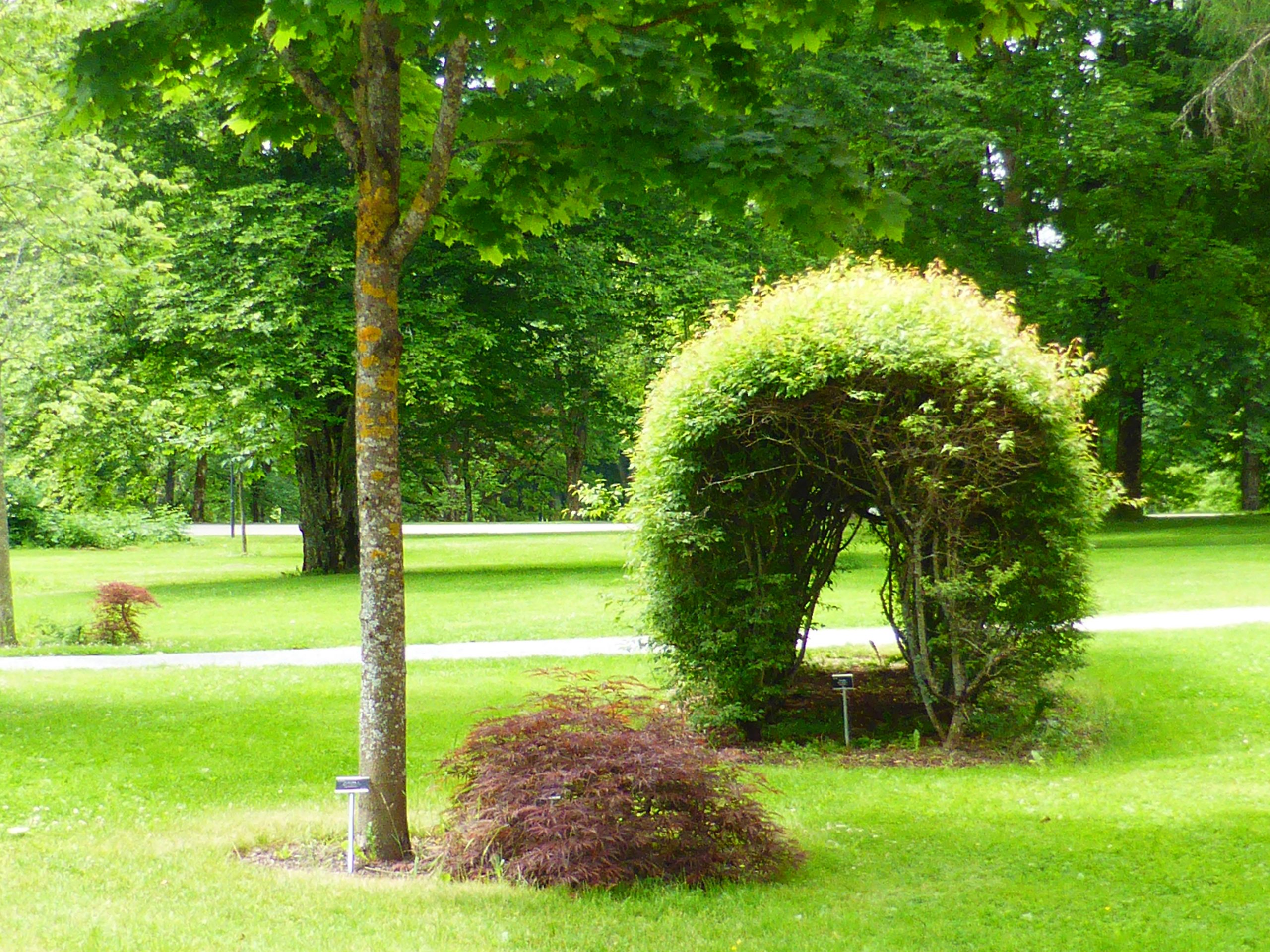 Parken ved Norges miljø- og biovitenskapelige universitet (NMBU).