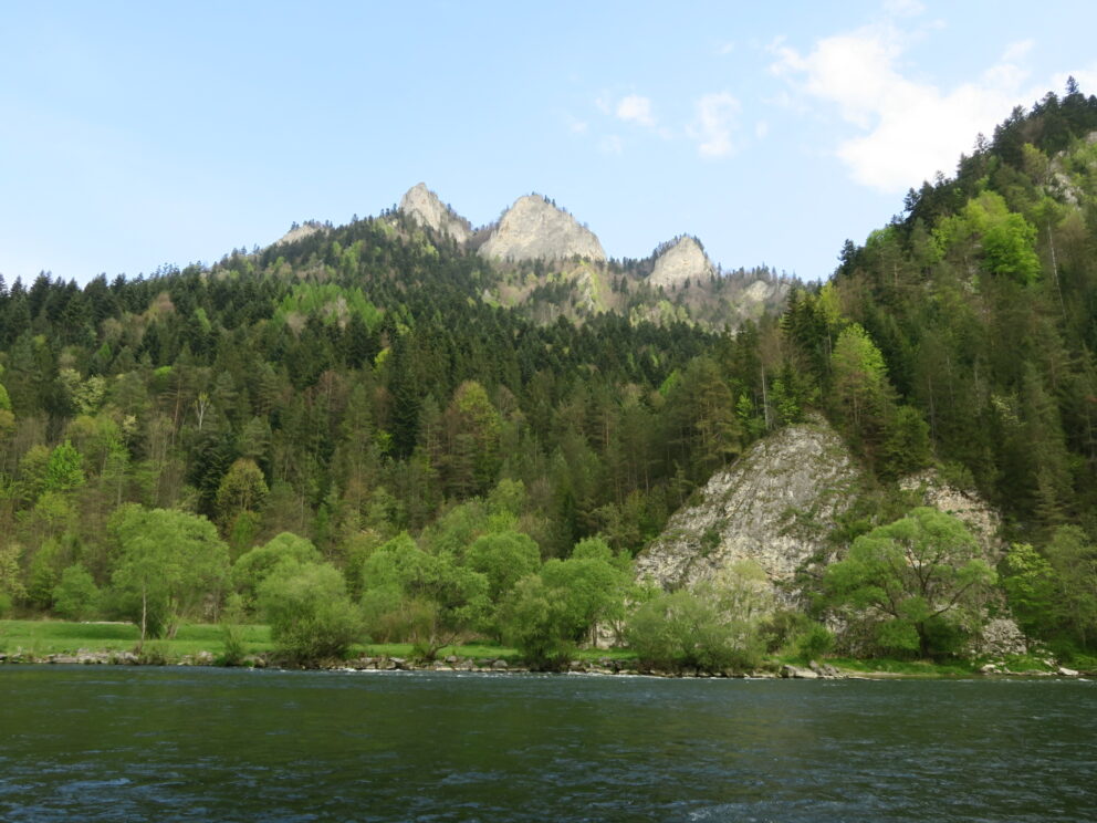 Grønne, skogkledde fjell med steinete topper reiser seg over en elv under en delvis overskyet himmel.