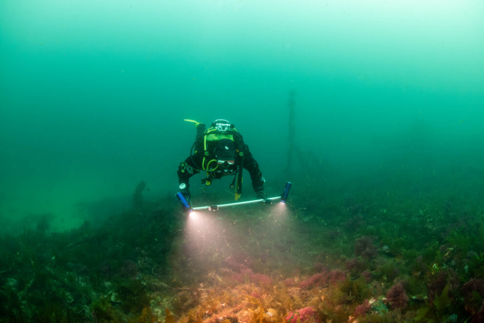 En dykker holder et lyspanel som lyser opp havbunnen mens han utforsker et grumsete vannmiljø.
