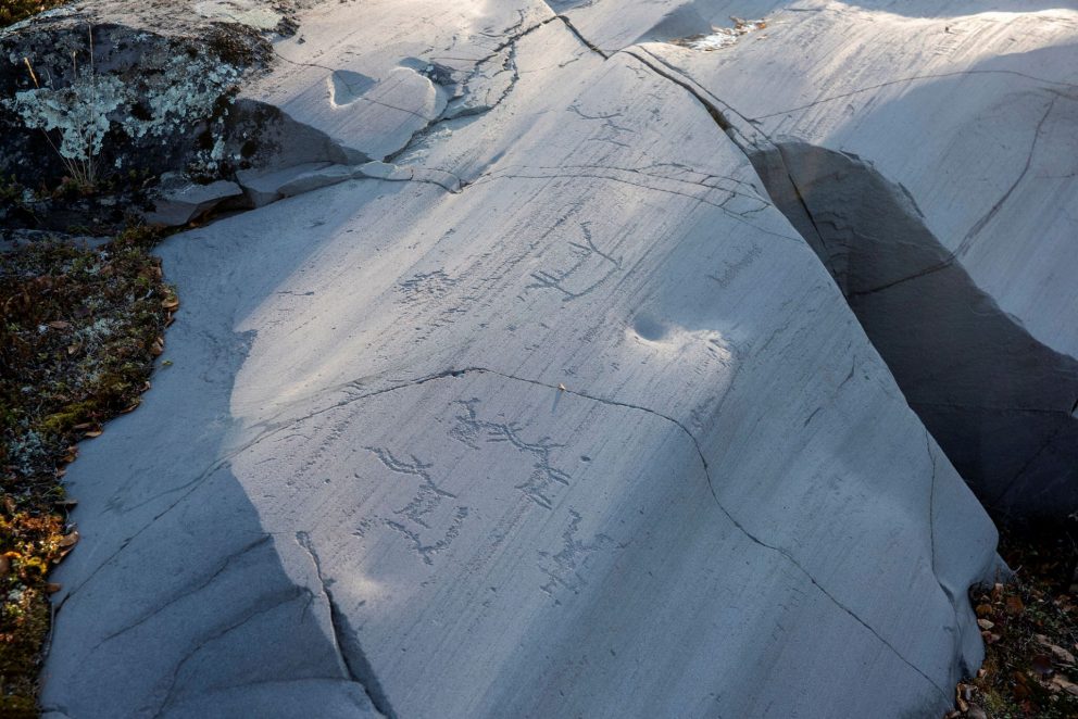 Rock carvings in Hjemmeluft in Alta: Scene featuring people, boat and reindeer. Photo: Arve Kjersheim, the Dircetorate for Cultural Heritage
