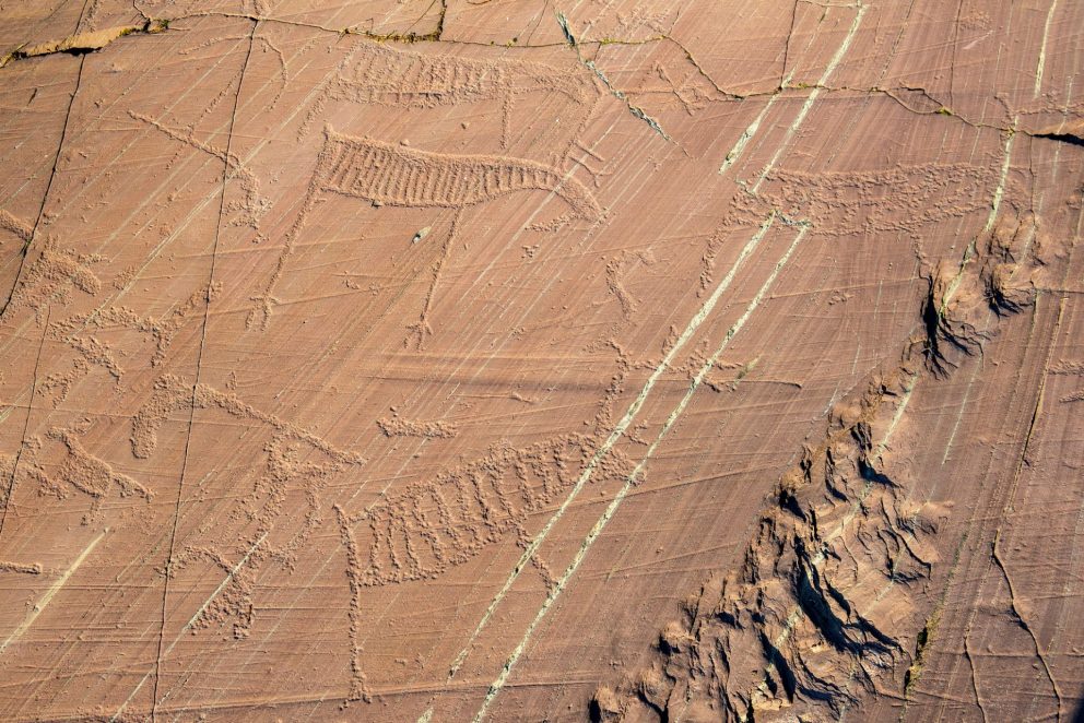 Rock carvings in Kåfjord in Alta: Scene featuring bear, humans and reindeer. Photo: Arve Kjersheim, the Dircetorate for Cultural Heritage