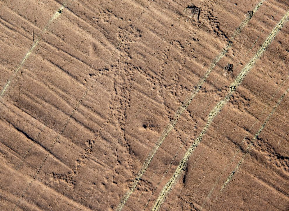 Rock carvings in Kåfjord in Alta: Person with bow. Photo: Arve Kjersheim, the Dircetorate for Cultural Heritage