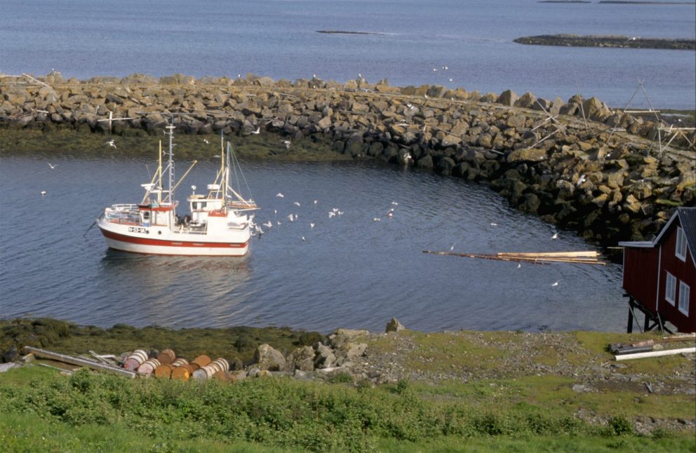 The harbour in Skjærvær. Skjærvær fishing harbour on Vega in Nordland. The breakwaters were built to provide safe harbour for the motorised smacks. Photo from the archives of The Directorate for Cultural Heritage