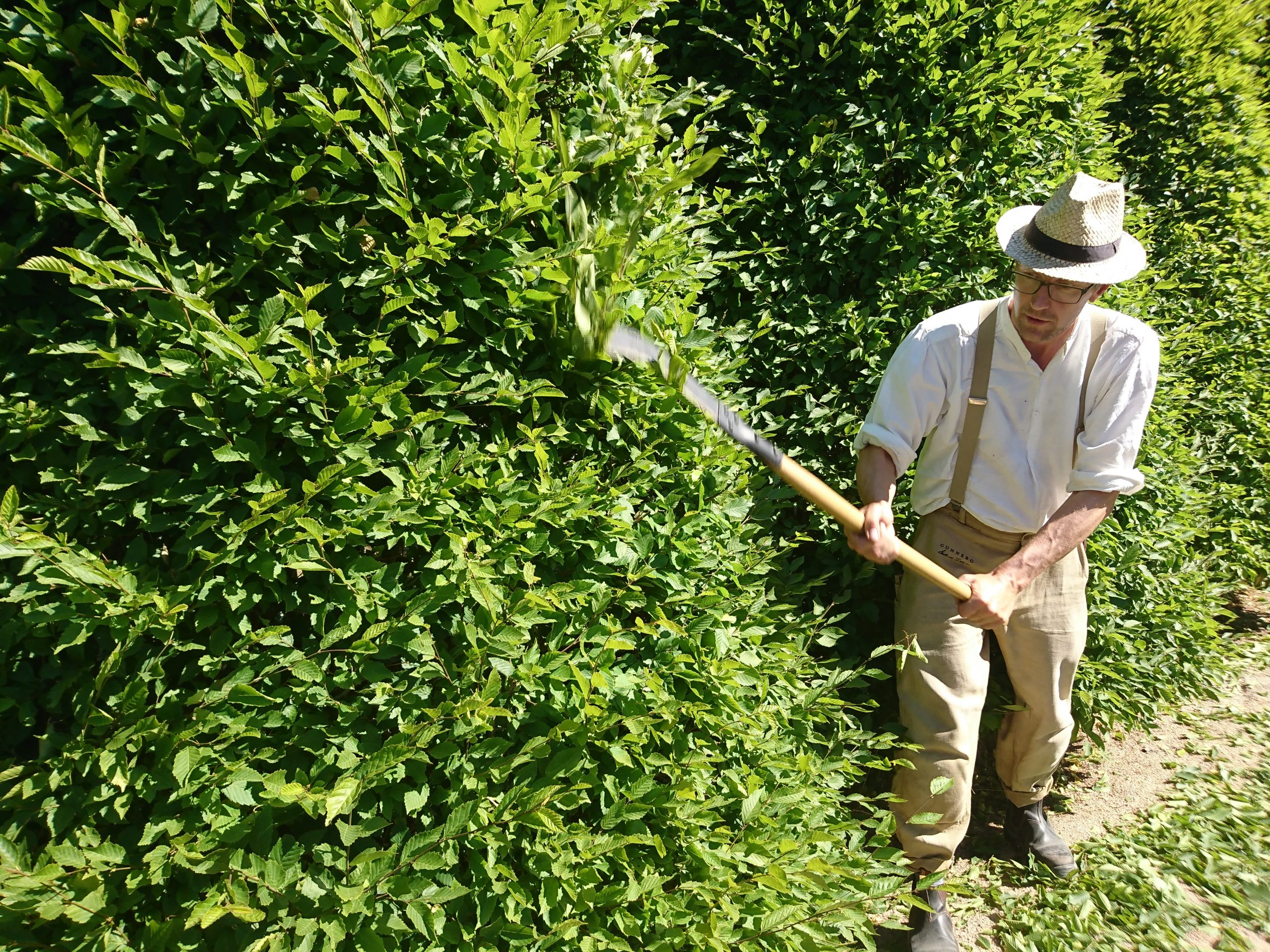 Grøntanleggstimen - på Teams 1
