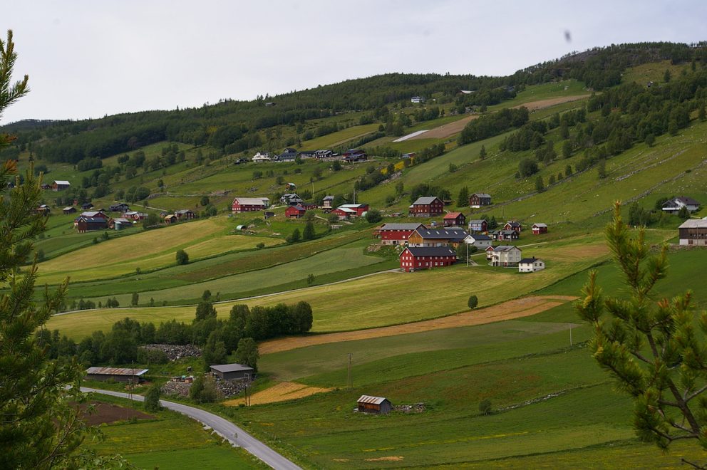 Bevaringsstrategier: landbruksområder og utmark er et av de foreslåtte temaene for bevaringsstrategier.