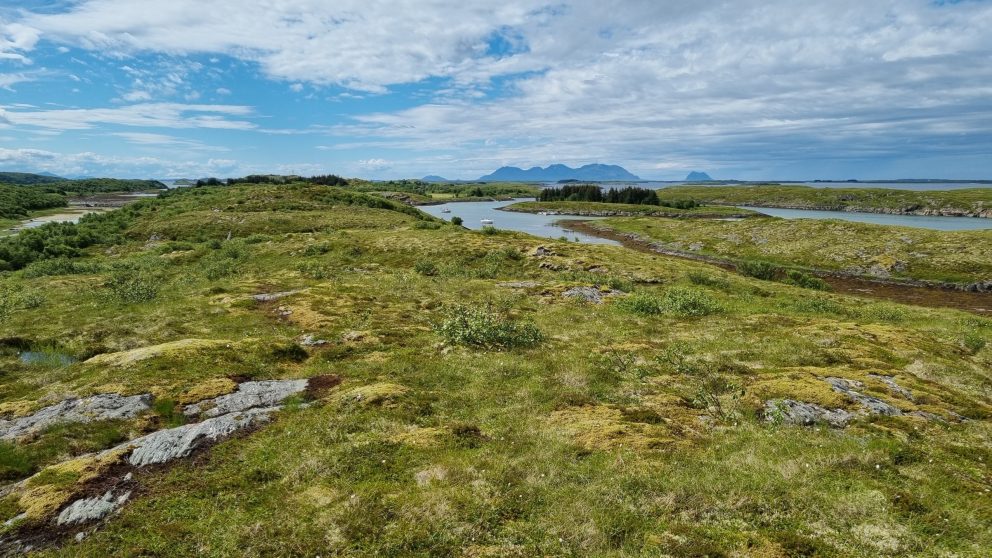 Fra et av utsiktspunktene. Båtvikheia hvor vi ser Vega i sør.