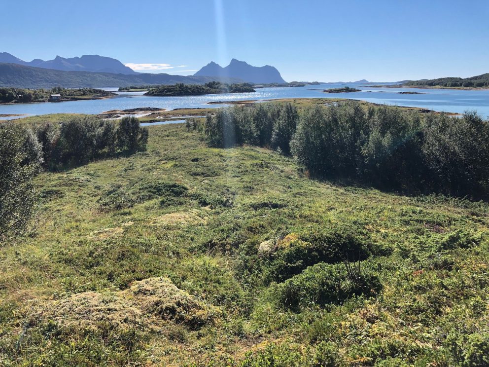 Fra utsiktspunkt Kattberget på Hagbardholmen.