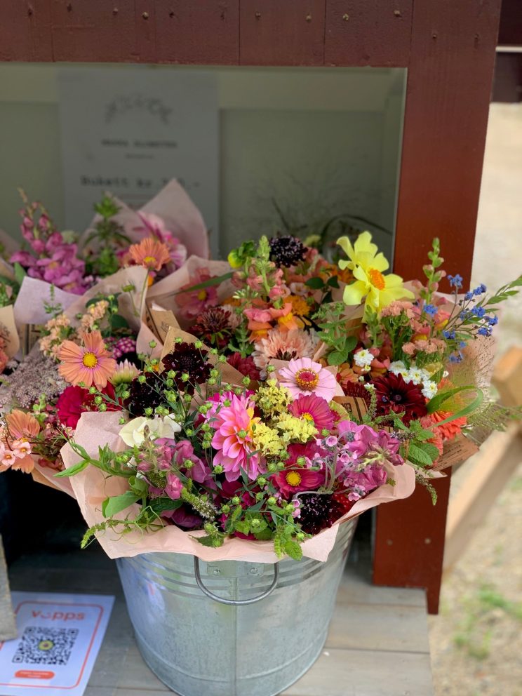 Kortreiste blomsterbuketter på Brenna Gård