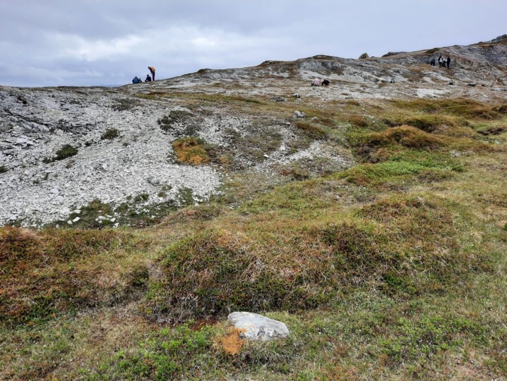 Elevene er i gang med ruteanalyser på ulike biotoper med hjelp av metermål og små pinner som avgrenser rutene.