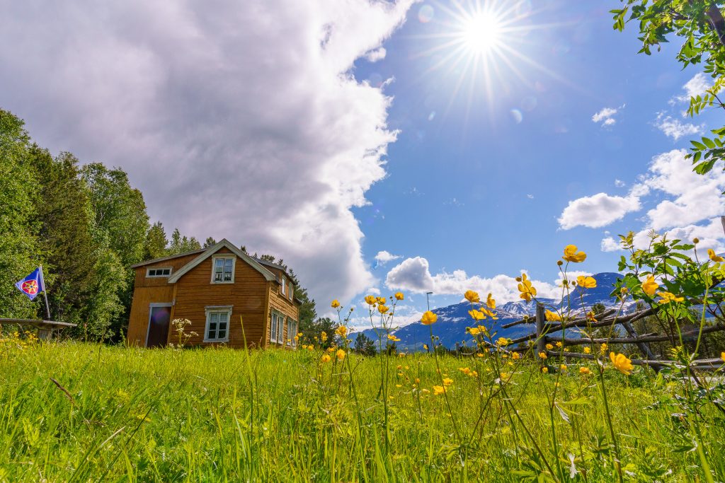 Kvenenes kulturminner: Det gule hovedhuset på den kvenske gården Hottitalo / Hottigården, sett en sommerdag med sol, flagg og en blomstereng med smørblomster i forgrunnen.