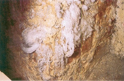Saltutslag på en teglsteinsmur som har vært utsatt for fuktighet.