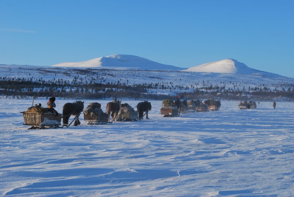 Kulturminneprisen 2023. Lasskøyring på veg mot Røros.