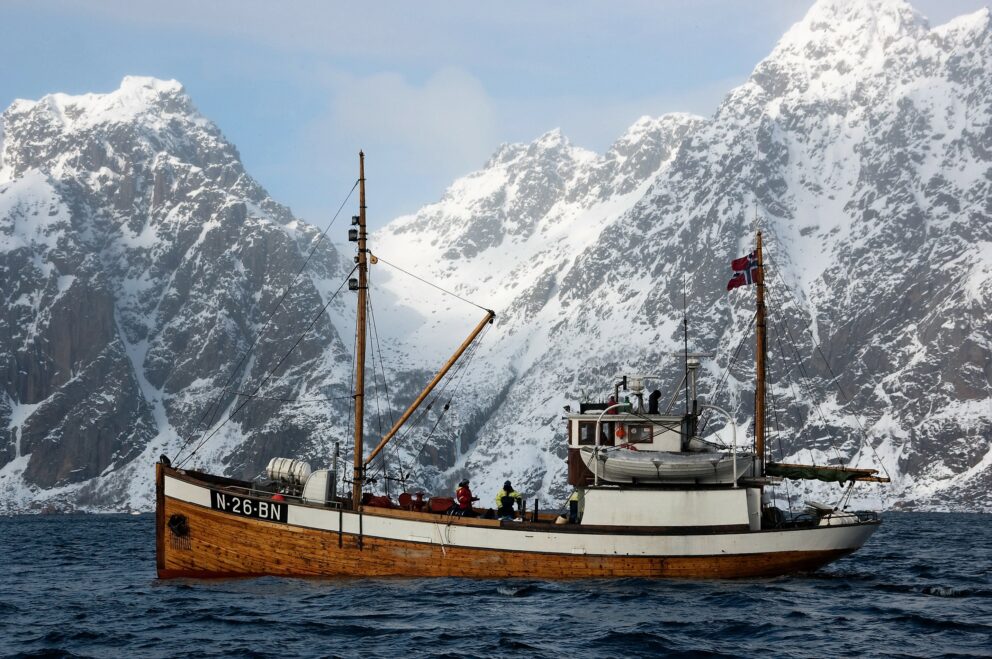 Verneflåten: Faxsen i Lofoten.