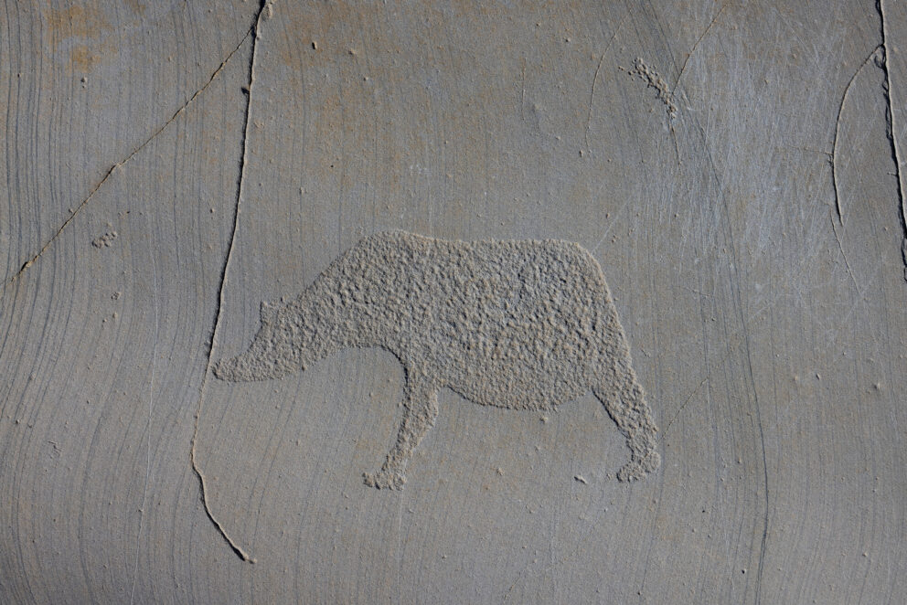 Dyrefigur fra bergkunsten i Alta