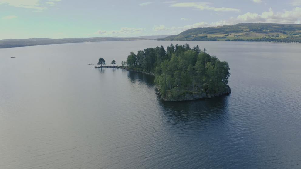 Steinsholmen i Mjøsa.
