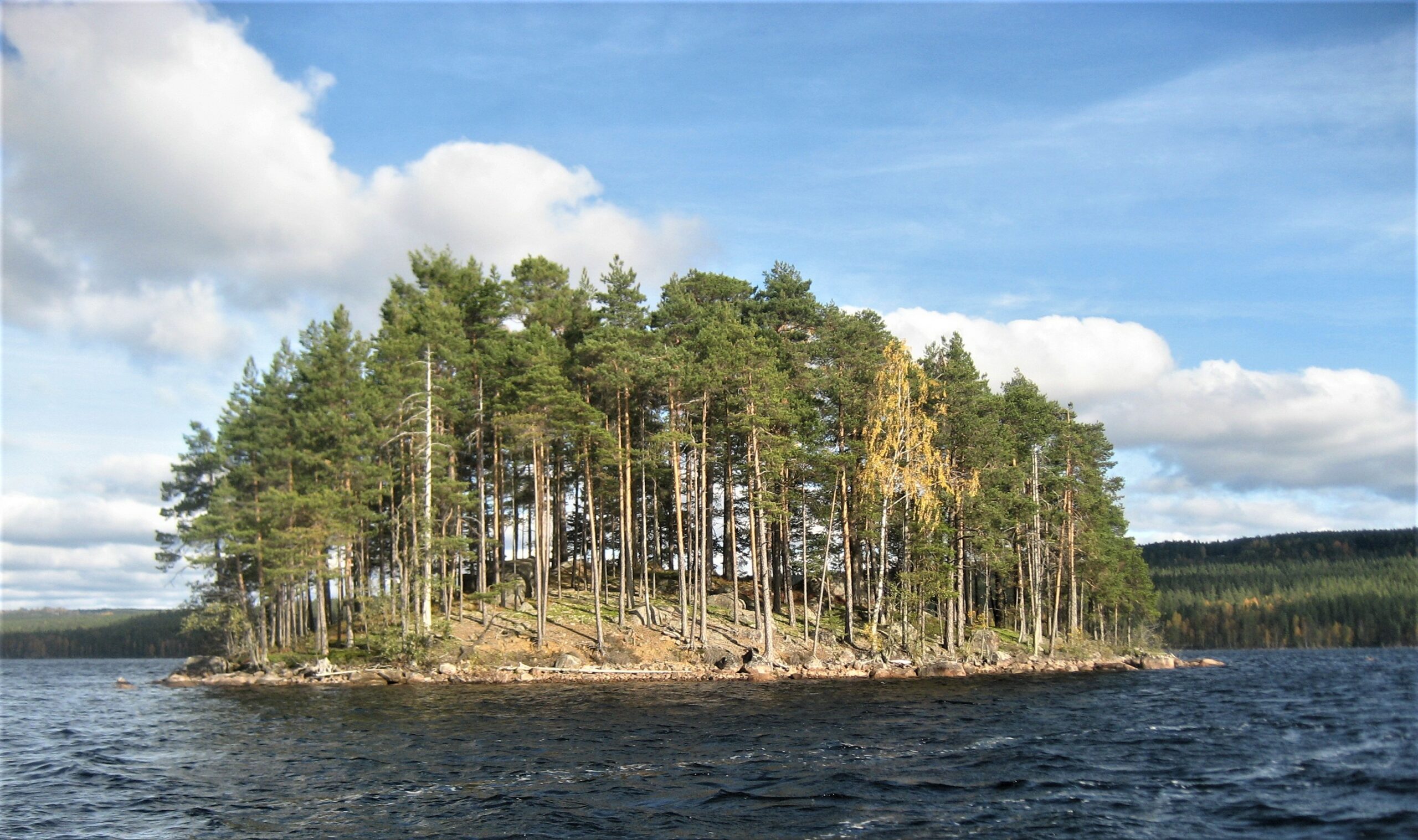 Akkasaari (Kjerringholmen) i Røgden skjuler en skogfinsk gravplass.