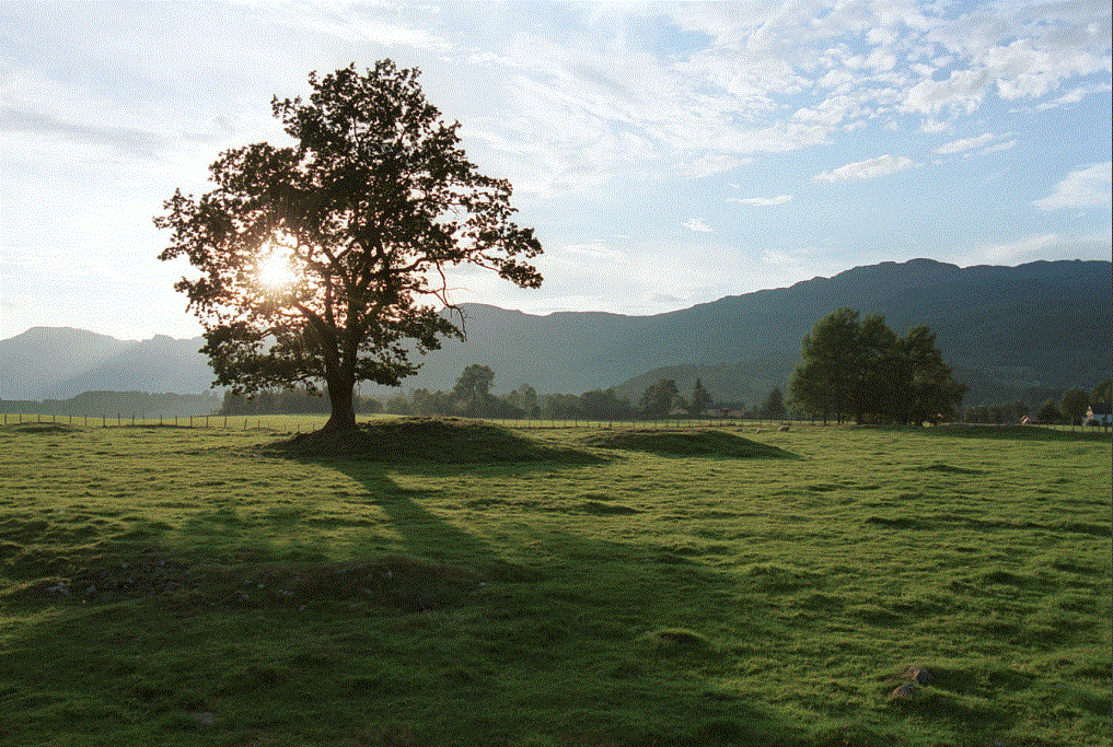 Stødleterrassen i Etne.