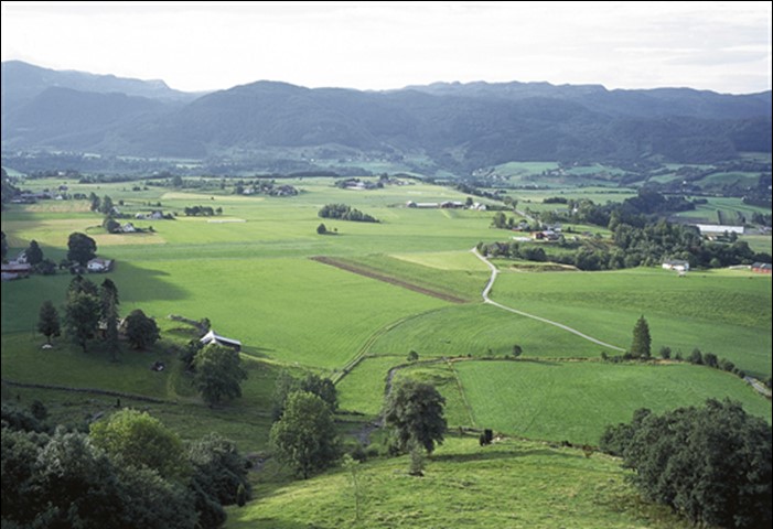 Stødleterrassen.