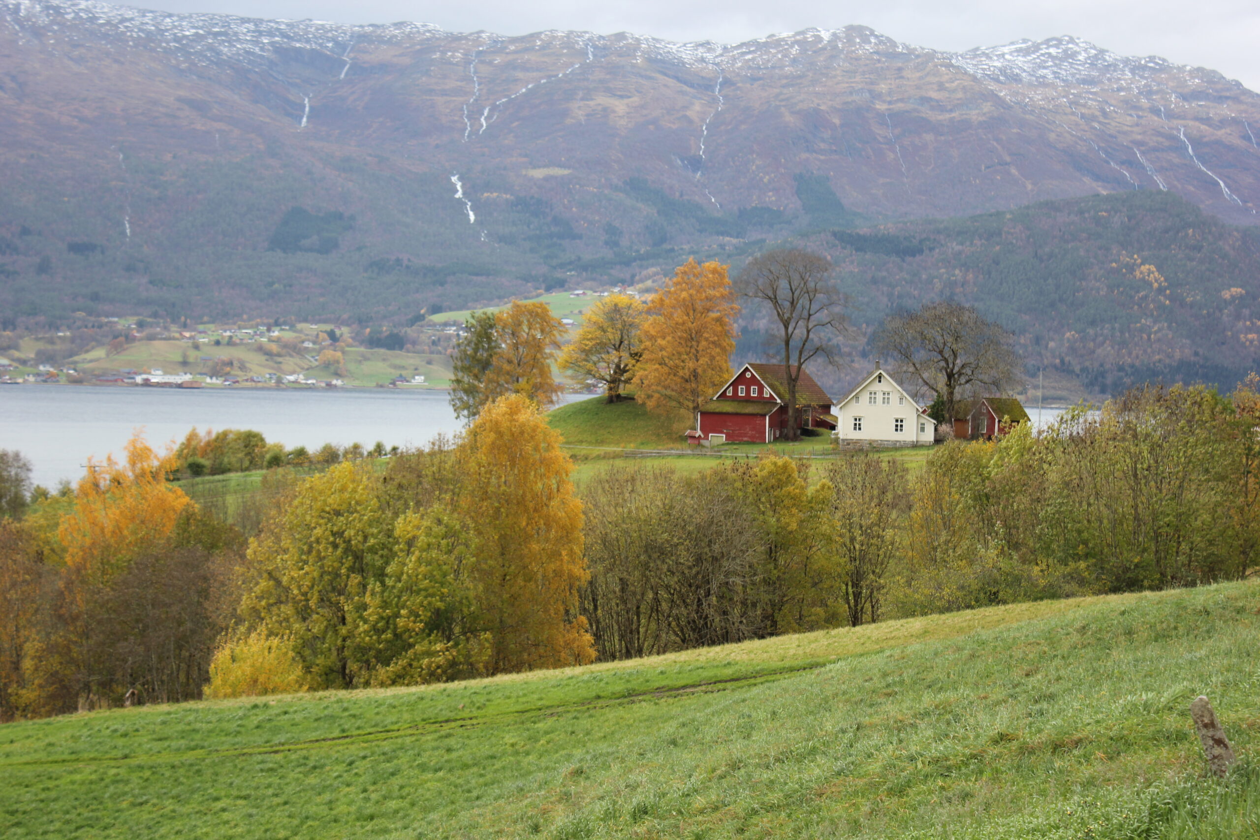 Bilde som viser Karnilshaugen, med fjellene og Gloppefjorden i bakgrunnen.