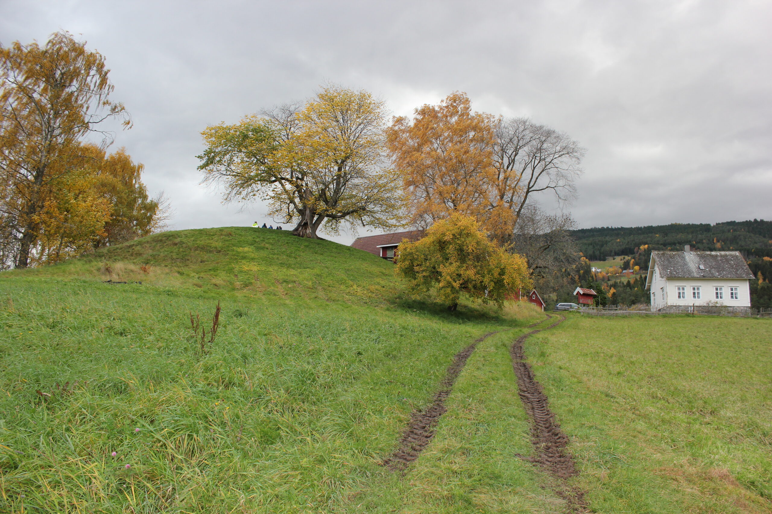 Bilde av Karnilshaugen tatt fra undersiden, ned mot fjorden.