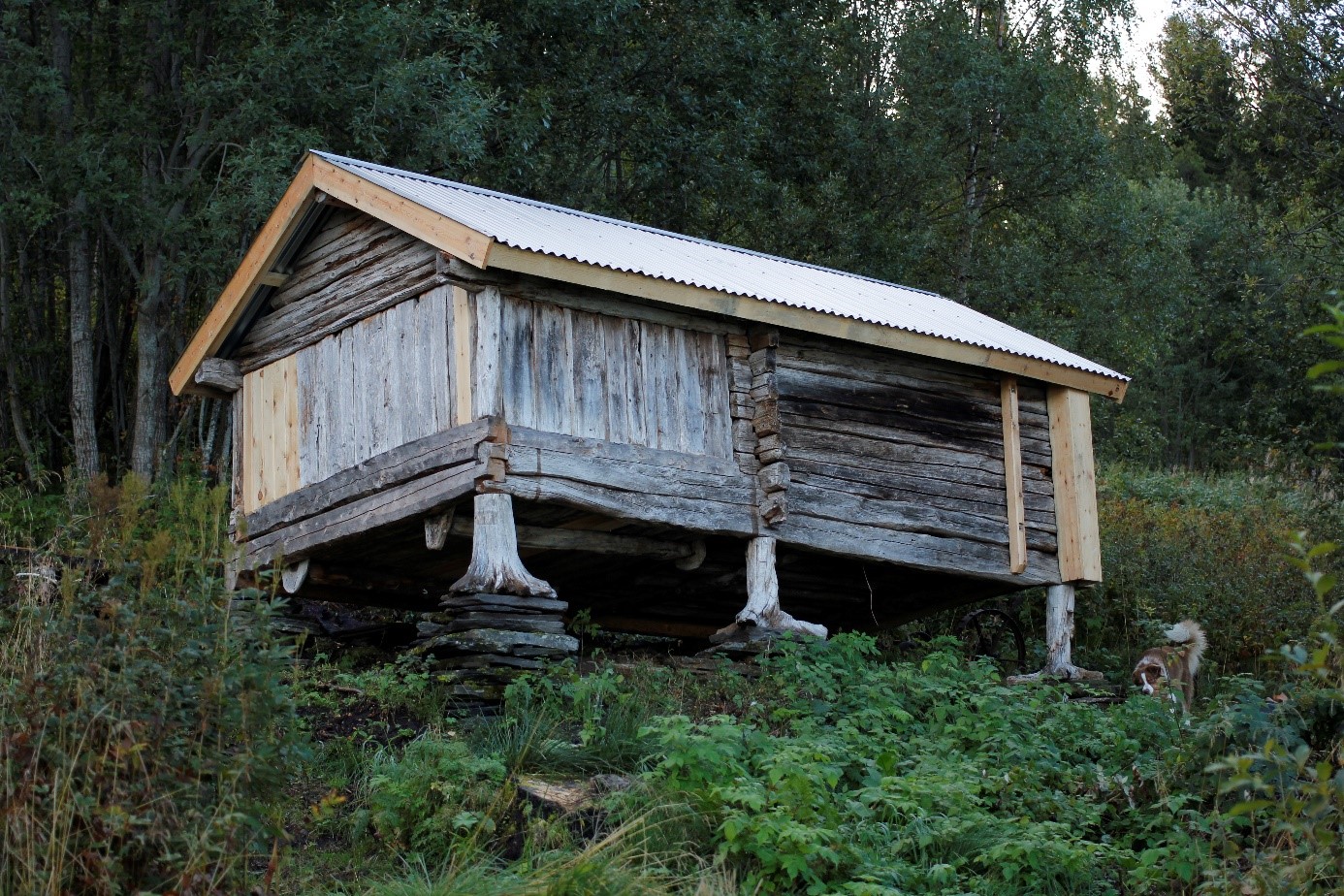 Bilde av det samiske kulturminnet Mikkel Olsa-buret etter restaurering og flytting.