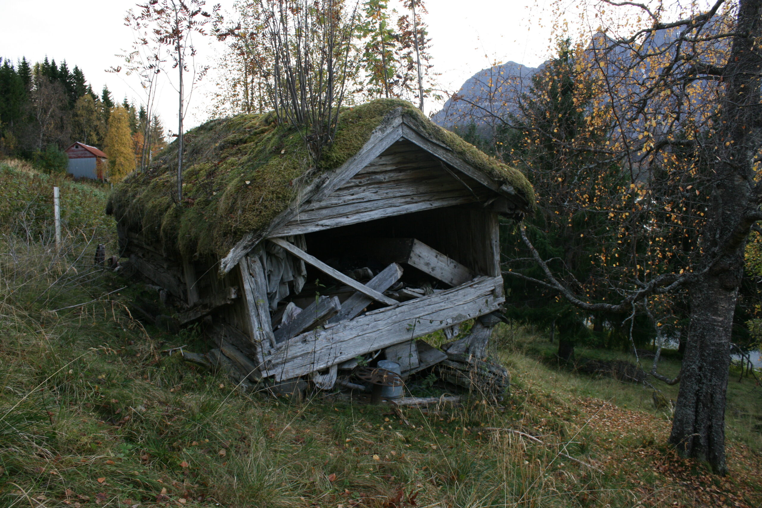 Bilde av det samiske kulturminnet Mikkel Olsa-buret før restaurering og flytting.