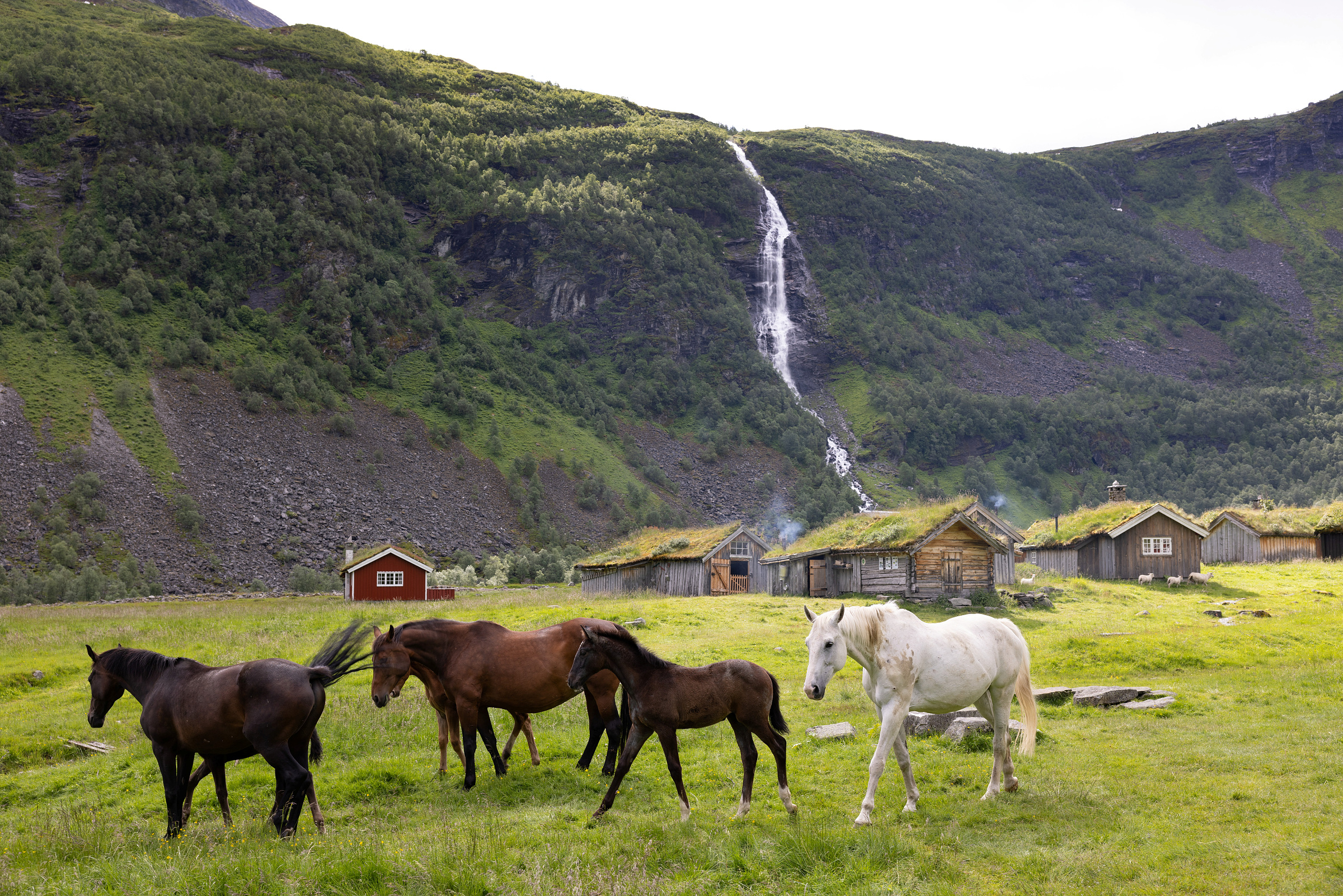 Vestnorsk fjordlandskap