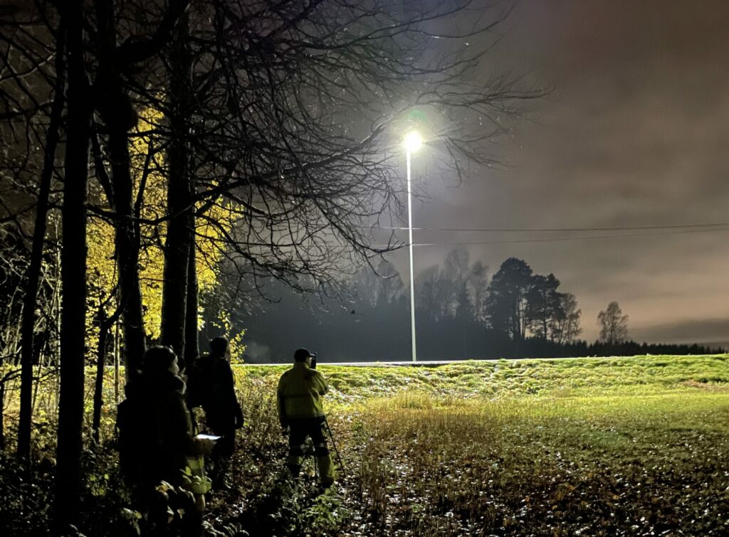 Riksantikvartimen - Belysning og lysforurensning 2