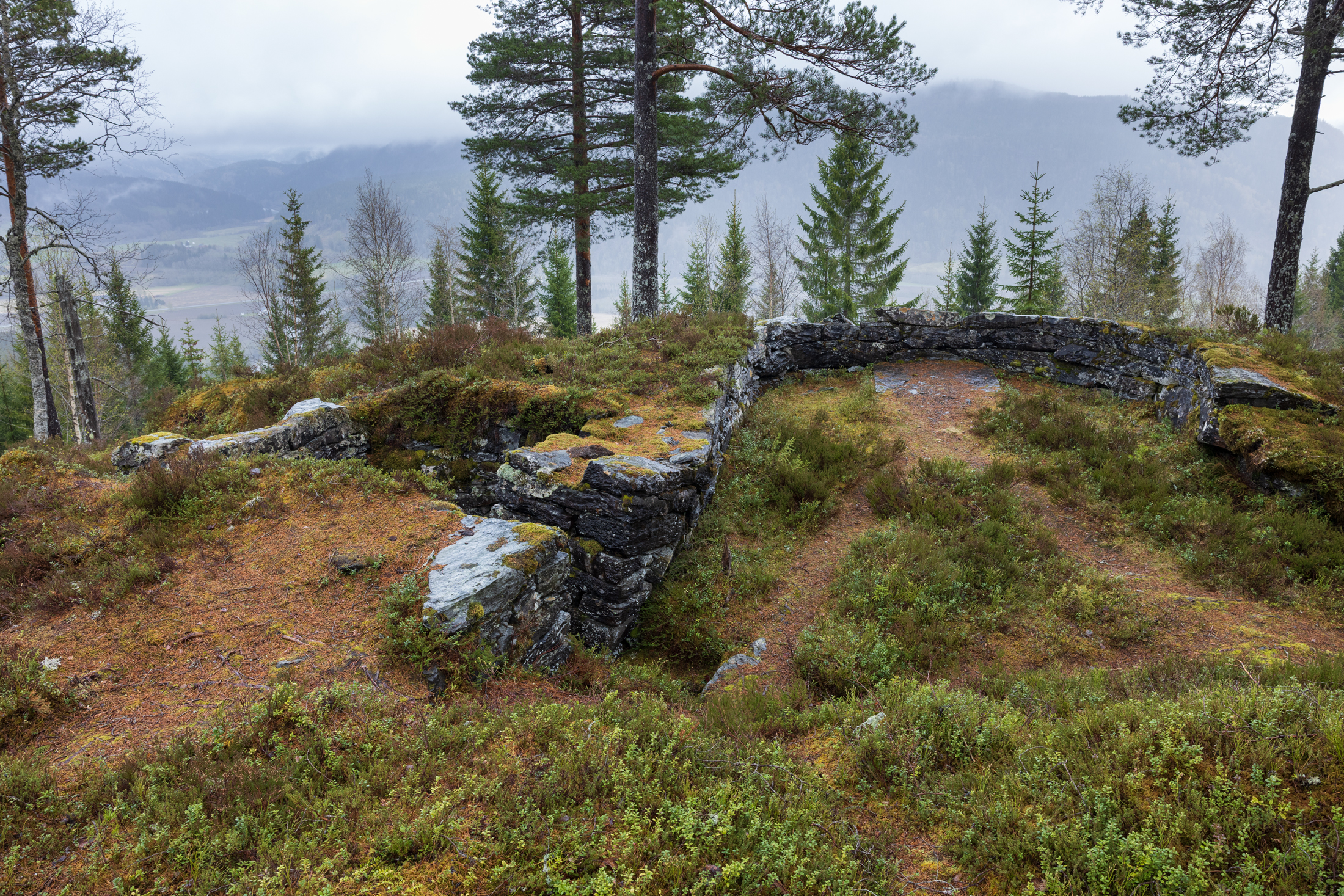 Steinruiner på Hegra festning omgitt av mose, gress og furutrær i en tåkete åsside med fjell i bakgrunnen.