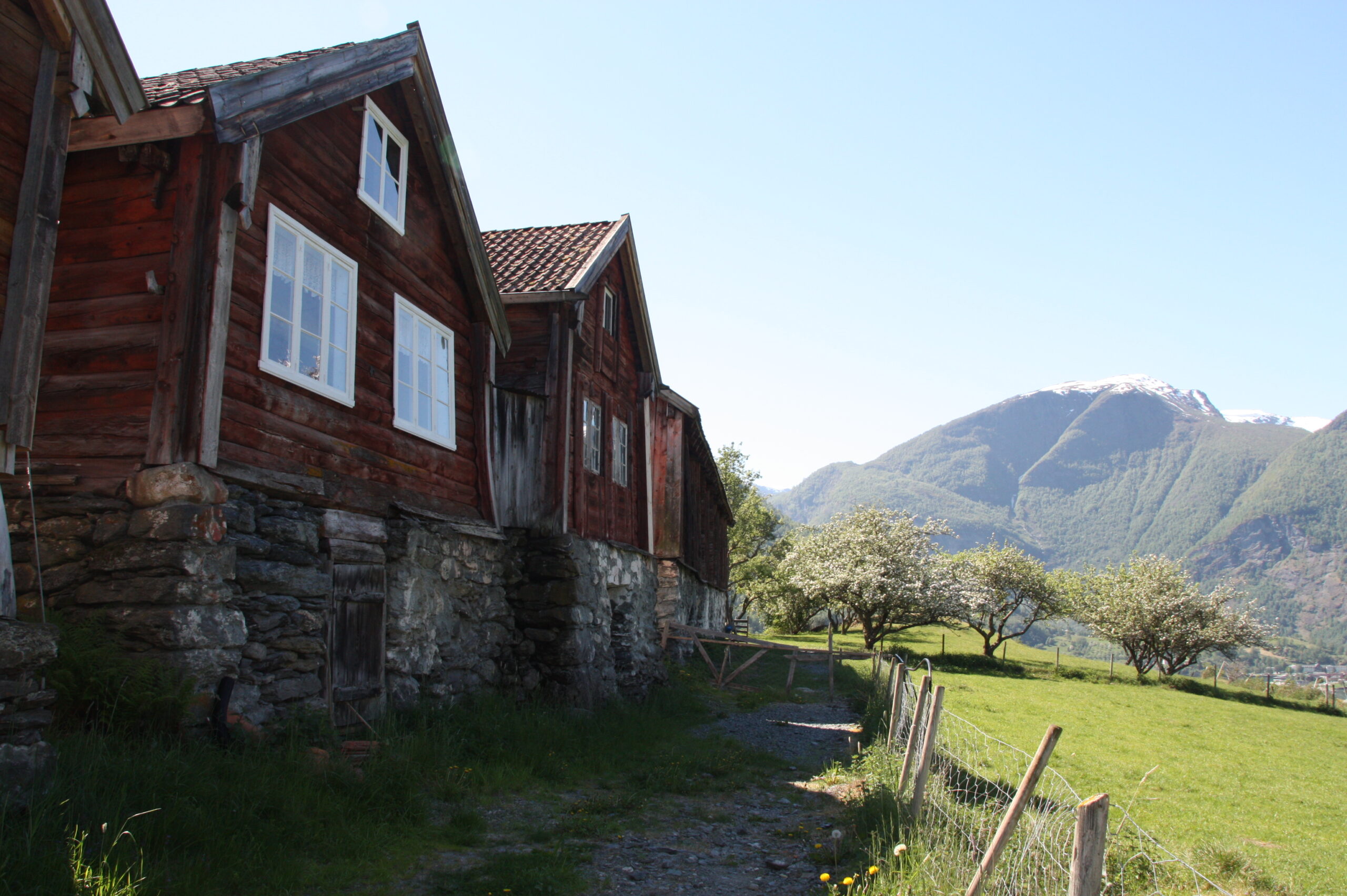 Trehytter på Otternes-tunet med steinfundamenter står i en gresskledd åsside, med blomstrende trær og et fjell med en snødekt topp i bakgrunnen under en klar himmel.