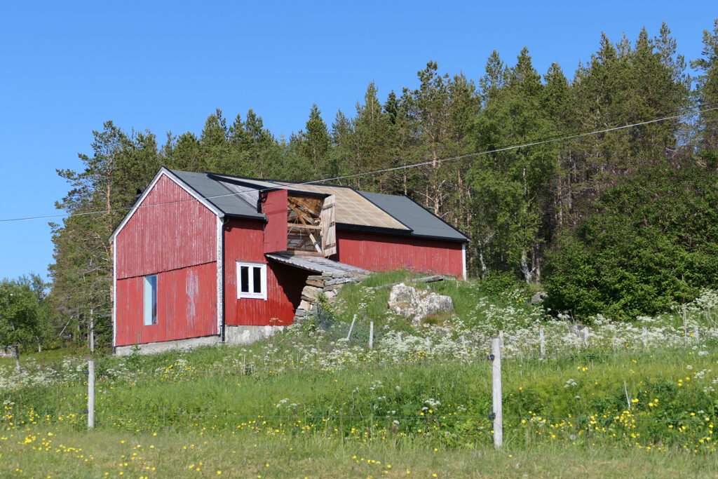 En rød trelåve med et delvis sammenrast tak står på en gresslette med markblomster, omkranset av trær under en klarblå himmel.