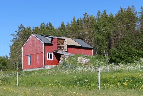 En rød trelåve med et delvis sammenrast tak står på en gresslette med markblomster, omkranset av trær under en klarblå himmel.