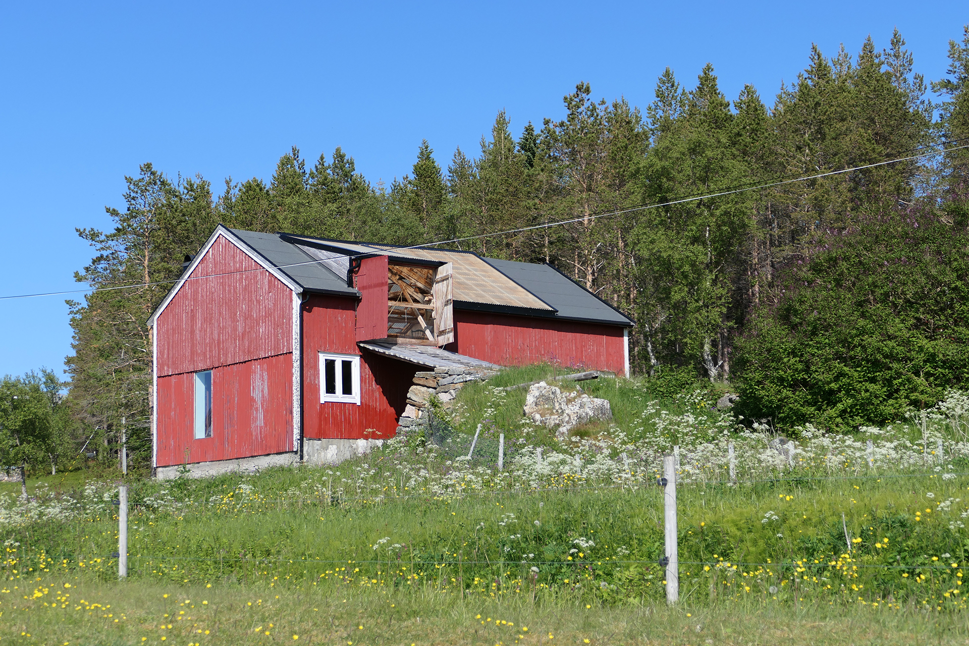 En rød trelåve med et delvis sammenrast tak står på en gresslette med markblomster, omkranset av trær under en klarblå himmel.
