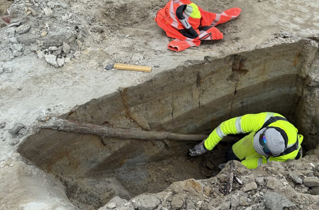 Sektoravgiftsseminaret 2025 1