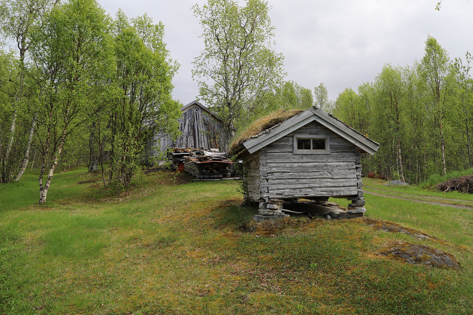 En liten, værbitt trehytte med mosedekket tak står på steinstøtter i et grønt, trefylt landskap. I bakgrunnen skimtes en annen trebygning og stablede planker.