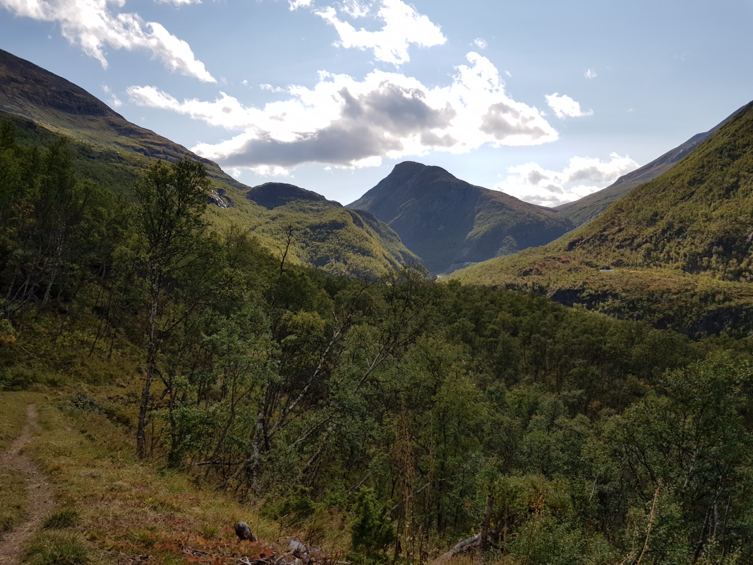Fjellandskap med tett, grønn skog i forgrunnen, bølgende åser og en delvis overskyet himmel.