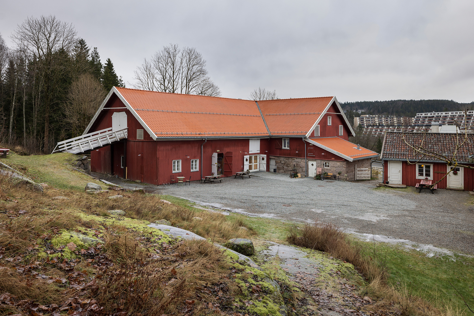 Ikkje lenger høyloft, men framleis høgt under taket 6 En stor, rød låve med hvite kanter og oransje tegltak står på en gruset tomt, omgitt av gress, trær og noen mindre bygninger under en overskyet himmel.