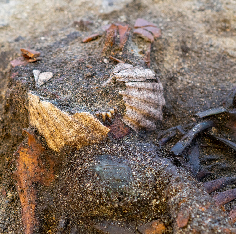 Delte ut 43 millionar til arkeologi – dette var dei mest spanande funna 18 Delvis nedgravde skjellfragmenter og vrakrester ligger spredt utover sandbunnen, og noen deler er dekket av våt sand.