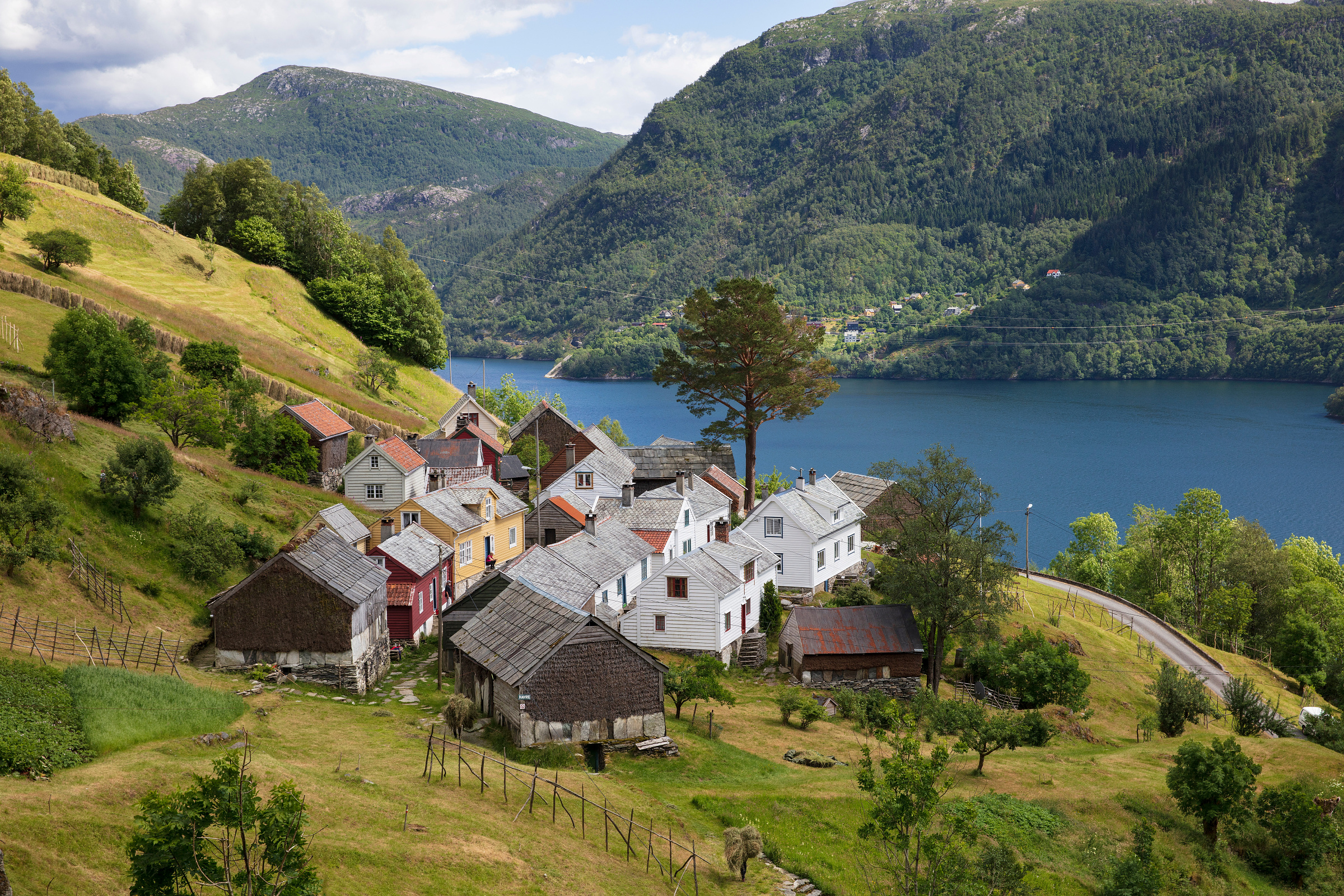 Klyngetunet Havråtunet med sine fargerike hus på Osterøy, i en grønn åsside med utsikt mot sjøen, omgitt av fjell og trær.